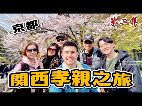 京都清水寺櫻花大滿開｜2023關西賞櫻孝親之旅 EP.2