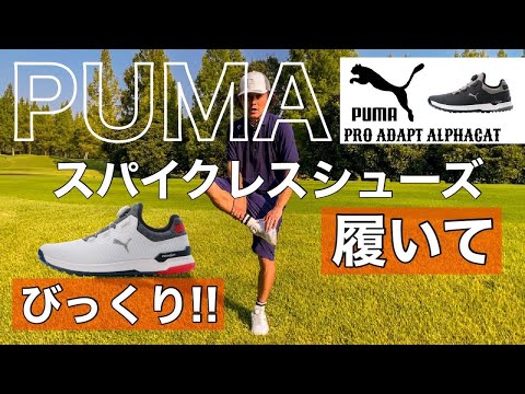 PUMA プロアダプトアルファキャットスパイクレス【ゴルフシューズ】履いてびっくりいい感じ!!