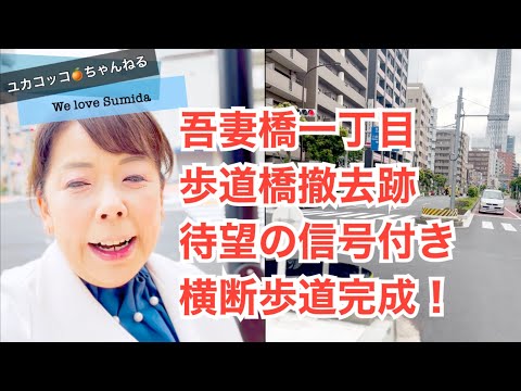 歩行者の安全！吾妻橋一丁目、歩道橋撤去跡に信号付き横断歩道が開通！墨田区議会議員 坂井ユカコ2024年6月6日