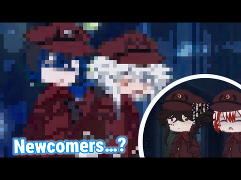 Newcomers…? || BSD GACHA || Suegiku || … AU || ⬛️🟦⬜️