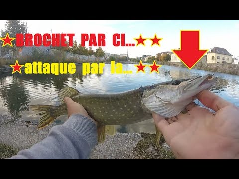 peche du brochet en automne !!