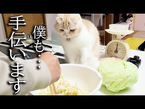 猫と一緒に手作り料理を作ってたら大変なことに...