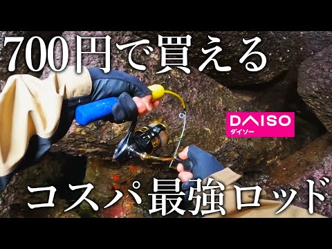 【新商品】700円で買えるダイソーの穴釣りミニロッドは使えるのか？検証すると化け物サイズがヒット！