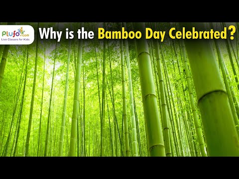 Why is world Bamboo Day celebrated?