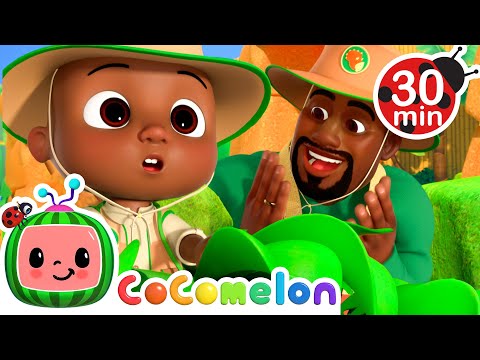 Cody and Daddy go to Dinoland! | CoComelon Kids Songs & Nursery Rhymes