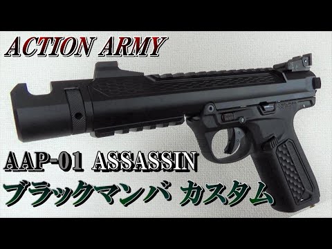 AAP-01 ASSASSIN ブラックマンバ カスタム