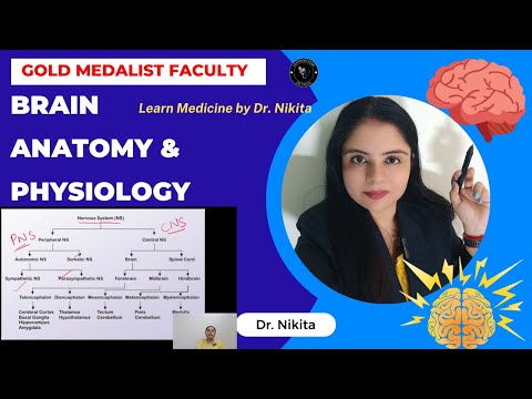 Brain Structure and Function in Hindi (Anatomy & Physiology) | Brain Structure and Function