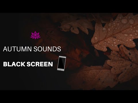 Autumn Sounds of Nature | Relaxing sound for Sleep, Study or Meditation | BLACK SCREEN | ASMR