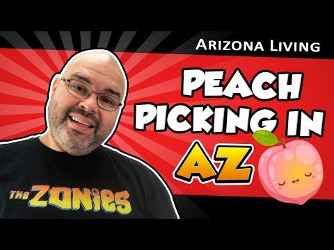 Peach Picking in Arizona | Living in Phoenix Arizona (2018)