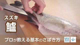 鱸（すずき）のさばき方 - How to filet Japanese Seaperch -｜日本さばけるプロジェクト（海と日本プロジェクト）