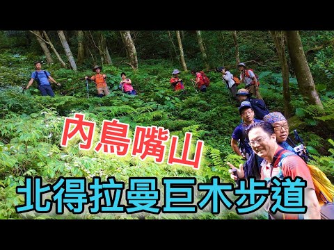 北得拉曼巨木步道 | 內鳥嘴山 | 水田部落 | 國家森林步道 | 回音谷 | 飛鼠神木 | 登山 | 中級山