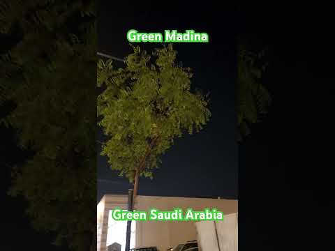 Green Madina #greenSaudiarabia #youtube #youtubviralshort #viral #video #foryou #savetheworld #green