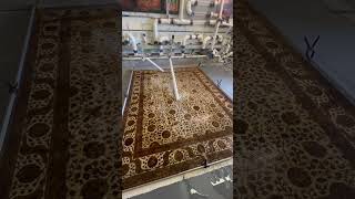 Wool Silk rug cleaning #petpeepee #urineodorremoval #orientalrugclean