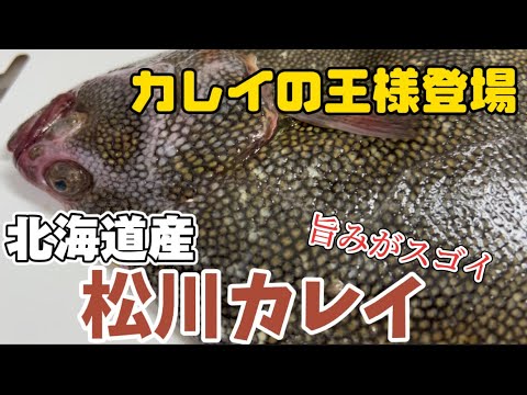 『希少！カレイの王様』北海道根室産の松川カレイのさばき方＆ラーメンの作り方