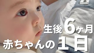 寝返りしていたずらし放題な生後6ヶ月赤ちゃんの１日