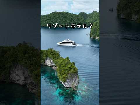 ガチでおすすめ⚠️パラオに浮かぶ動くリゾートホテル