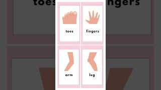 Learn Body Parts | Parts of body #ytshorts  #kidslearning #bodypartsname #shorts #knowledge