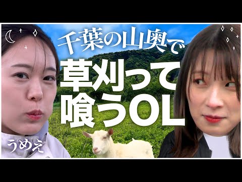 アラサーOLが草刈って天ぷらにする動画【日帰りキャンプ】