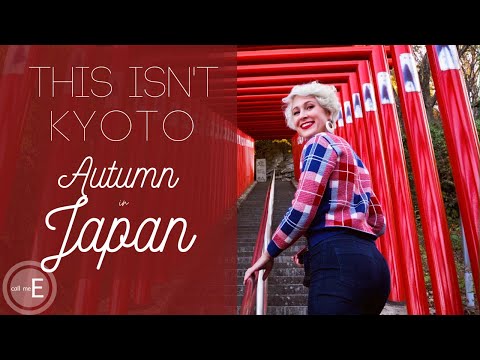 This Isn't Kyoto! Enjoying Fall Colors from a Rocket in Japan