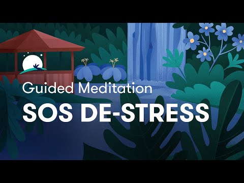 SOS De-Stress | Relaxing Guided Meditation and Sound | BetterSleep