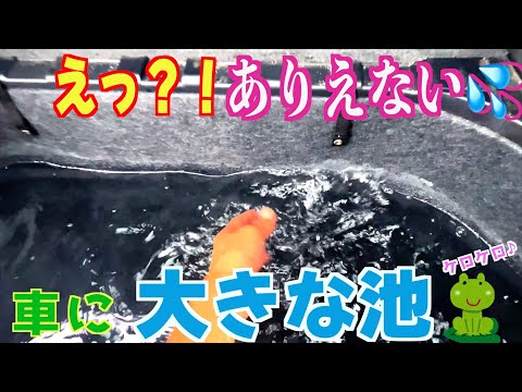 【セレナ雨漏り修理】車内に大量の水が侵入して来ました（泣）