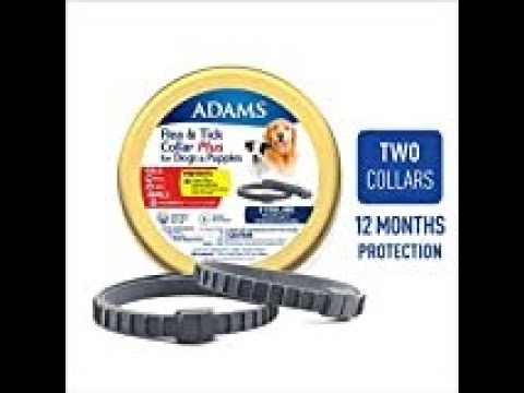 Collares para pulgas y garrapatas talla unica/Flea and Tick Collar for Large Dogs kill fleas & ticks