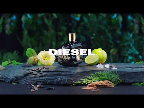 NEYMAR JR. X DIESEL FRAGRANCES  SPIRIT OF THE BRAVE INGREDIENTS VINT