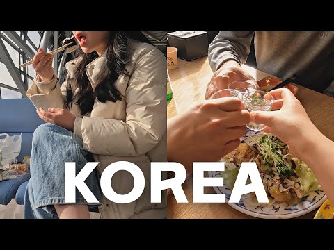 [KOREA] 한국 브이로그 시작편🇰🇷 (간사이 공항/진에어/한국에서 먹고 싶던 것/보배반점/대호네서먹으면돼지/치즈몬스터)