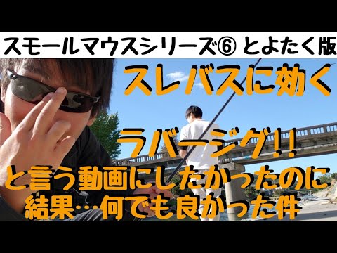 【川スモールマウスバス　シリーズ⑥　埼玉編】スレた川スモールにはラバーシグ‼と言いたかったのに結果何でもオッケーでした( ˘ω˘)ｽﾔｧ