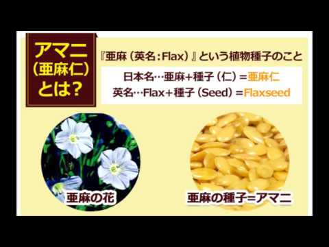 亜麻仁油について。アマニ油＆DHA【自然館】