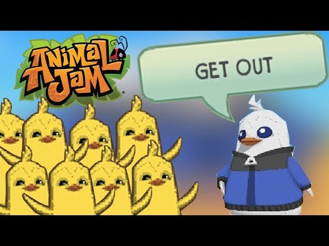 THE BIGGEST ANIMAL JAM RAID EVER