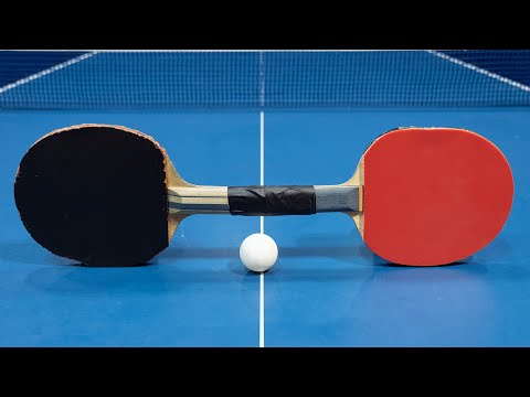 Darth Maul Ping Pong