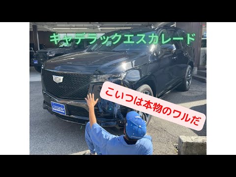 車知識０のアルバイトNが高級SUVのキャデラックエスカレードをゆるくご紹介！　#SUV #escalade #cadillac #sport