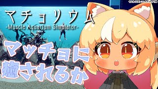 【マチョリウム 】チルマッチョタイムだ【不知火フレア/ホロライブ】