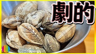 【砂出し】あさりの美味しさが劇的に進化する下処理のやり方教えます！【貝】【砂抜き】【準備】【アサリ】Vol.102