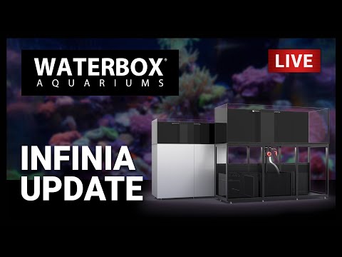 Episode 162:  INFINIA Aquarium series is getting updated.