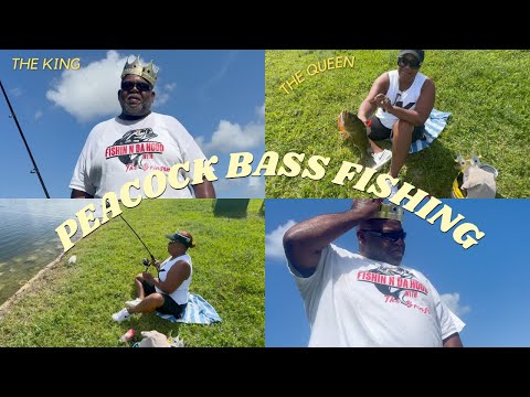 THE KING AND QUEEN OF PEACOCK BASS FISHING #fypyoutube #fishing #fish #bassfishing #bassfishinglife