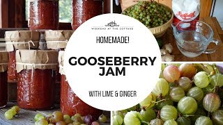 HOMEMADE GOOSEBERRY JAM | Delicious & Flavourful