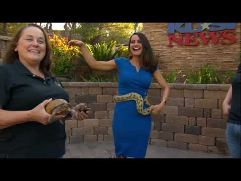 Groped by Snake & Stomping Grapes | Jenny Milkowski 9-7-22