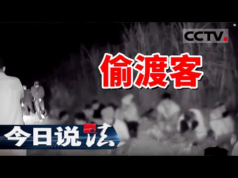 《今日说法》广西边境抓获17名“三非”人员 成功斩断偷渡链条！20241114 | CCTV今日说法官方频道