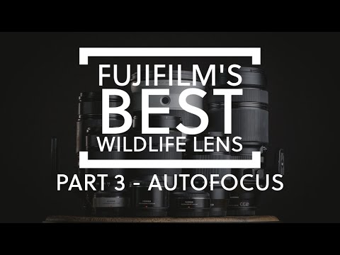 What is Fujifilm's fastest lens for wildlife photography - PART 3 - Autofocus