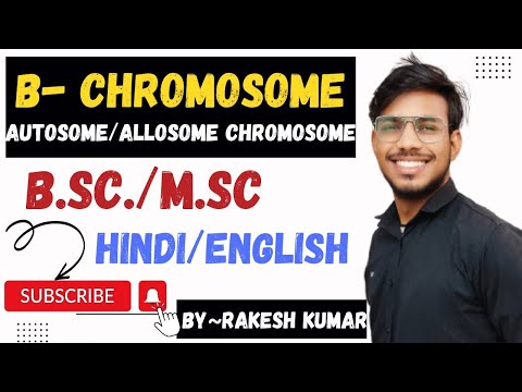 B CHROMOSOME । B chromosome in cytogenetic ।autosome & allosome chromosome । sex chromosome #bsc