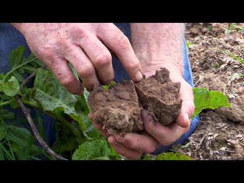 Assessing Soil Biology with Troy Hinke