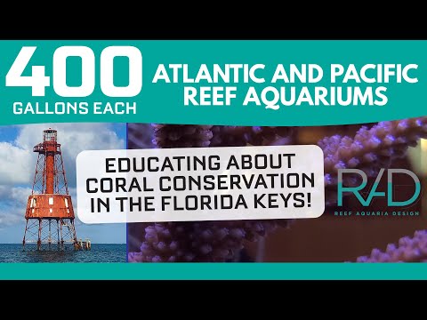 400 GALLON CUSTOM BUILT ATLANTIC AND PACIFIC REEF AQUARIUMS BY "REEF AQUARIA DESIGN" AT OCEAN REEF