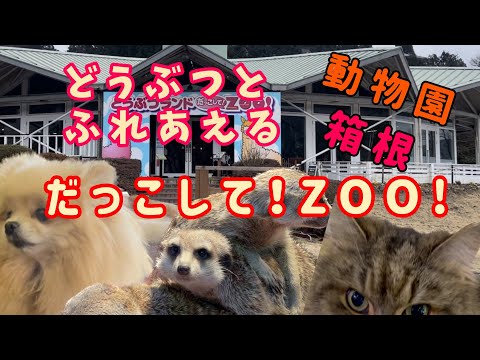 ふれあえる動物園 だっこしてZOO! 箱根/ #zoo #japan