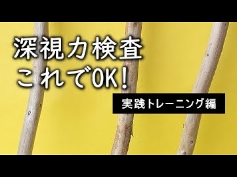 【深視力検査】本番前最終チェック　棒の動きがよくわかるスケスケ動画