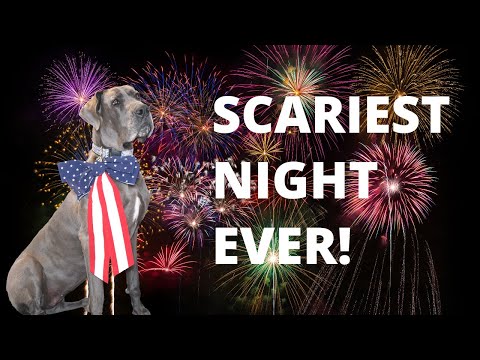 7 Tips to Prepare your Great Dane for Fireworks & 4th of July | Great Dane Care