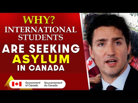 Canada PR : Why International Students Are Seeking Asylum in Canada