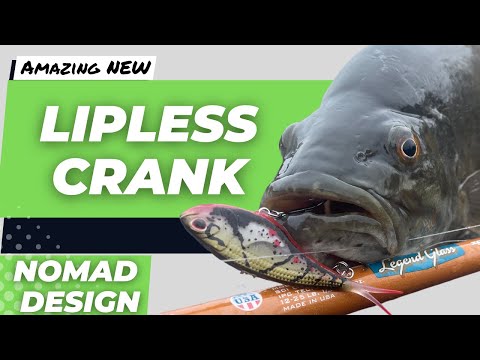 Found a New Lipless Crankbait that is insanely Good!