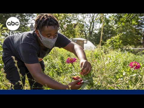 This Chicago nonprofit helps at-risk youth by growing flowers